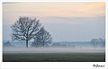 Achterhoek 5
